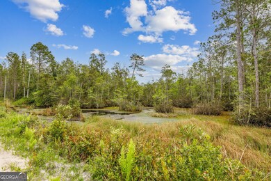 V/L 102 Old Reserve Rd, Waverly, GA 31565 - photo 6