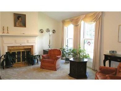 Living Room. Closeup of fireplace and window area 