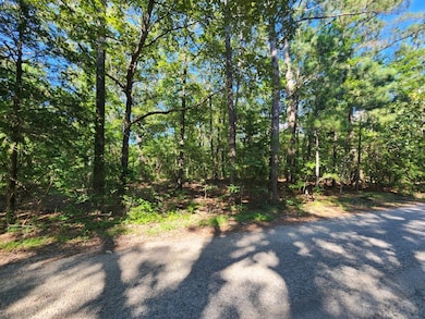 0 Conbanna S D unit 134480, Buchanan, TN 38221 - photo 3