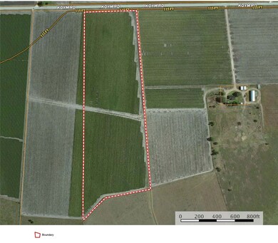 000 Koym Rd, Beasley, TX 77417 - photo 3