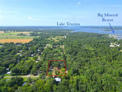 157 James Shannon Ln, Sadler, TX 76264 - photo 7