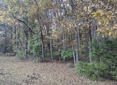 0 Ramada St SE, Huntsville, AL 35802 - photo 3