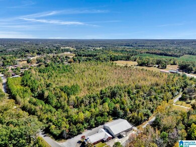 0 Hopewell Dr unit 21433405, Clanton, AL 35045 - photo 7