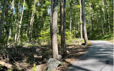Additional View