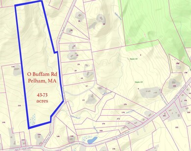 0 Buffam Rd, Pelham, MA 01002 - photo 2