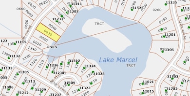 113 xx 312th Ave NE, Lake Marcel-Stillwater, WA 98014 - photo 6