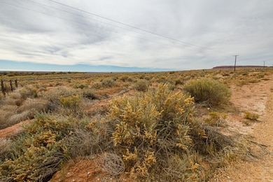 389 Arizona 389, Fredonia, AZ 86022 - photo 4