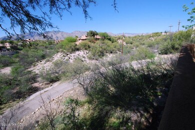 Driveway To Front Door.JPG