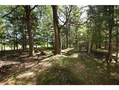 Lot #2 Olsen Road Rd, Webster, WI 54893 - photo 6