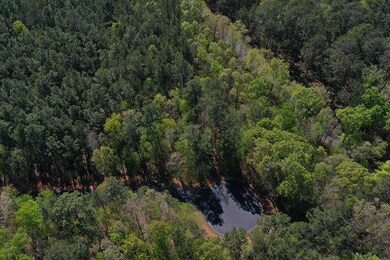 Lot 82 Regimental Ct, Ninety Six, SC 29666 - photo 6