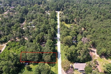 TBD Mossyknoll Dr, Plantersville, TX 77363 - photo 7