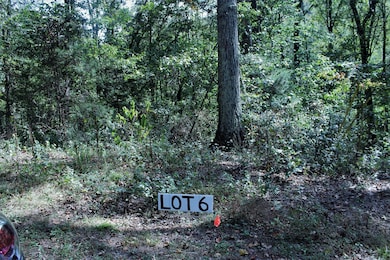Lot 6b photo
