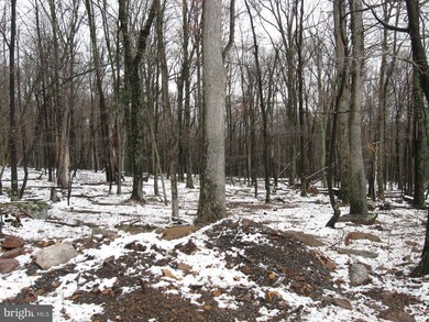 0 Off Cold Run Valley Rd unit 1000289098, Berkeley Springs, WV 25411 - photo 3