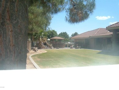 Back yard