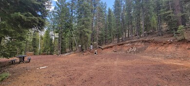 1660 E Beech Craft Dr, Duck Creek Village, UT 84762 - photo 6