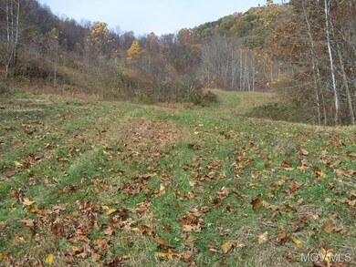 Great hunting and pasture