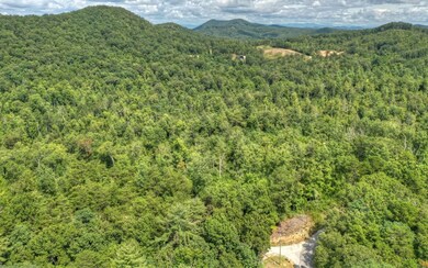 50 AC Lowery Rd, Morganton, GA 30560 - photo 2