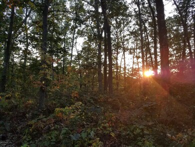 0 N V L Evergreen Dr unit 17049135, White Cloud, MI 49349 - photo 6