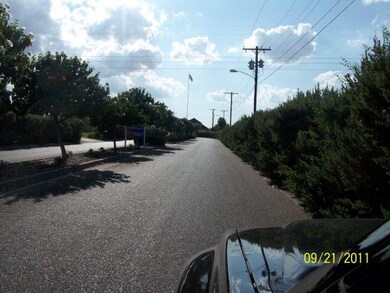 2101 W Tomatillo Dr, Weslaco, TX 78596 - photo 3