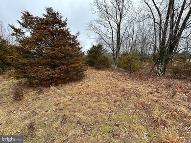 0 Quantico Trail Bantry Way unit WVGT2000778, Maysville, WV 26833 - photo 7