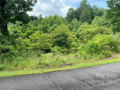 000 Taylor Ln unit 4,5,7,8,9,10,11,12,1, Burnsville, NC 28714 - photo 5