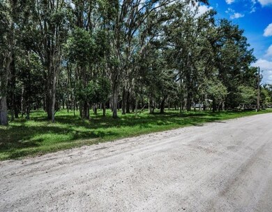 4635 Cobb Rd, Land O' Lakes, FL 34638 - photo 6