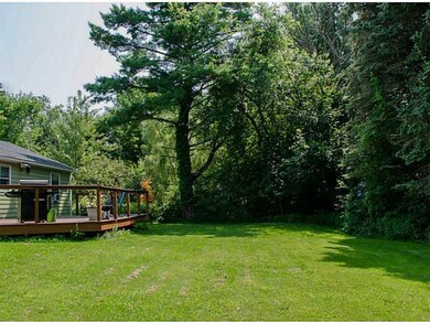 Yard/Garden.