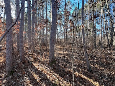 ON Heart Lake Rd, Conover, WI 54519 - photo 6