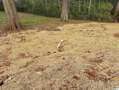 340 Eastview Blvd, Birmingham, AL 35215 - photo 5