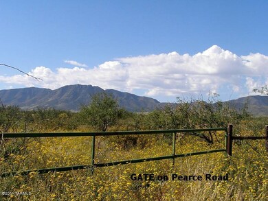 Entry Gate - Needs Clearing!