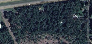 0 Highway 80, Haughton, LA 71037 - photo 3