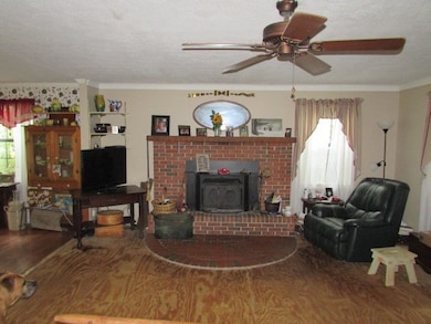 4606 Georgia 65, Pelham, GA 31779 - photo 4