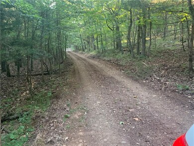 17704 Ferry Rd, Winslow, AR 72959 - photo 5