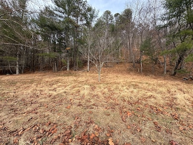 TBD River Beach Ln, Galax, VA 24333 - photo 7