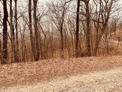 0 Bull Gap Rd unit 120310, Jasper, GA 30143 - photo 5