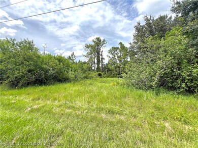 600 Lynn Ct, Lake Placid, FL 33852 - photo 7