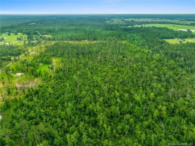 0 Lonnie Cole Rd Tract 9, Ragley, LA 70657 - photo 7