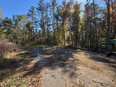 2779 Easy St, Sevierville, TN 37862 - photo 6