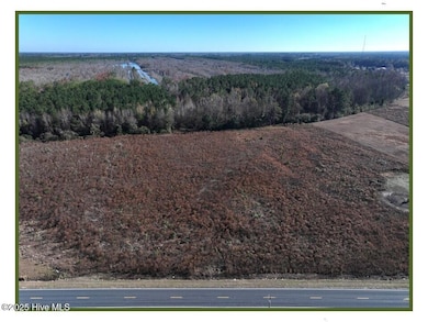 Lot 3 Wire Grass Rd, Orrum, NC 28369 - photo 3