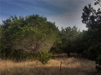 33035 Woodcrest Dr, Whitney, TX 76692 - photo 3