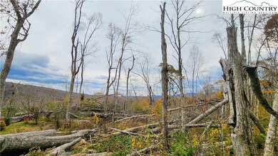 A18 Meadow Ave Loop, Banner Elk, NC 28604 - photo 6