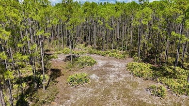 00 Key Deer unit LotWP001, Perry, FL 32348 - photo 3