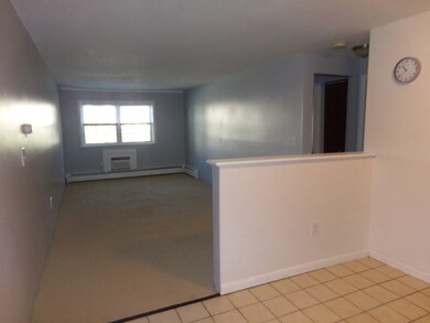 381 Hildreth St unit 208, Lowell, MA 01850 - photo 4
