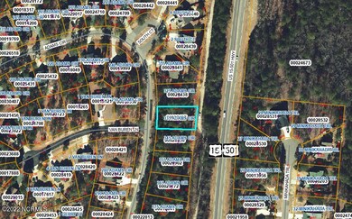 GIS Map Zoomed Out
