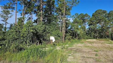 1224 10th Ave, Deland, FL 32724 - photo 6