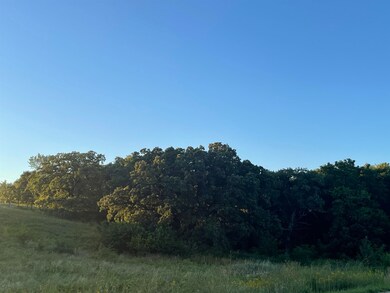 16.4 Ac County Rd E, Brooklyn, WI 53521 - photo 3