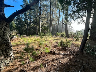 9020 Shelter Cove Rd, Whitethorn, CA 95589 - photo 4