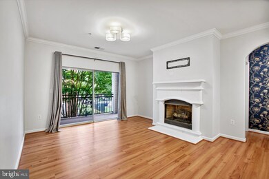 Bryson At Woodland Park unit 203, Herndon, VA 20171 - photo 7