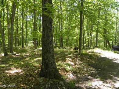 0 3 Rd Road Lake Rd unit PWB211844, Hawley, PA 18428 - photo 4