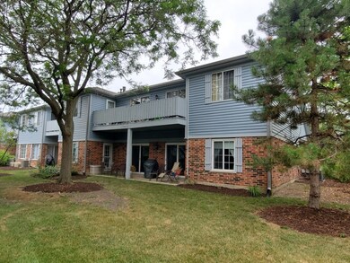 1701 Chesapeake Ln unit 2, Schaumburg, IL 60193 - photo 5